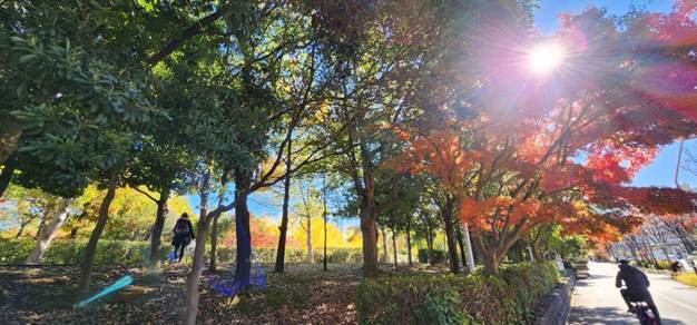 緑の木々
AI 生成コンテンツは誤りを含む可能性があります。